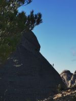 Klik za večjo sliko